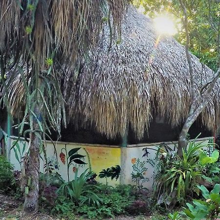 La Casa De Los Ninos Del Arbol Hotel Bacalar Zewnętrze zdjęcie