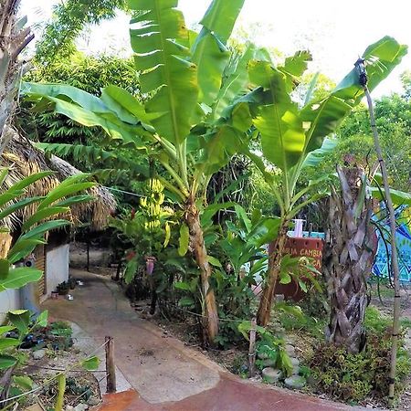 La Casa De Los Ninos Del Arbol Hotel Bacalar Zewnętrze zdjęcie